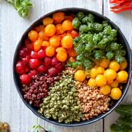 Vibrant bowl of fresh, healthy ingredients, symbolizing holistic nutrition planning.